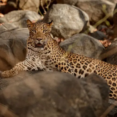 Taj Amer, Jaipur - Overview - Outdoors 2