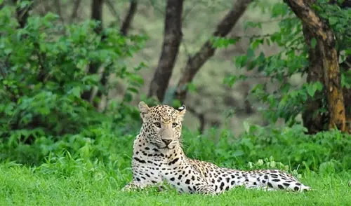 The Oberoi Rajvilas, Jaipur - Overview - Outdoors 8