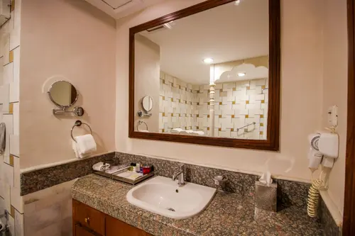 Taj Pratap Mahal, Pushkar - Rooms - Washroom 56