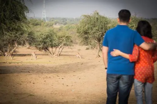 Welcomhotel by ITC Hotels, Jodhpur - Overview - Outdoors 18