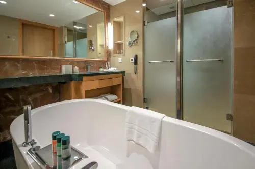 Welcomhotel by ITC Hotels, Jodhpur - Rooms - Washroom 37