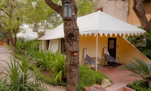 Ajit Bhawan Palace, Jodhpur - Overview - Outdoors 27