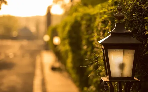 Ajit Bhawan Palace, Jodhpur - Overview - Outdoors 53