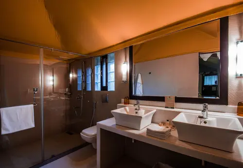 Ajit Bhawan Palace, Jodhpur - Rooms - Washroom 87