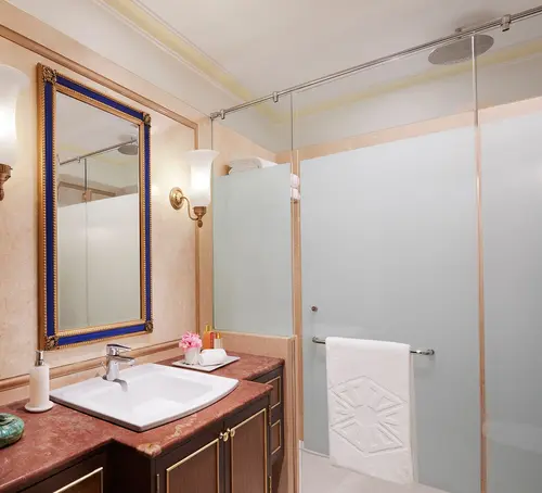 Taj Fateh Prakash Palace, Udaipur - Rooms - Washroom 58