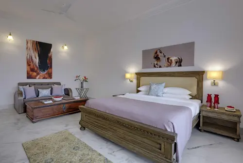 Fateh Garh, Udaipur - Rooms - 460 Sqft 43 Sqmt Valley View King Bed 6