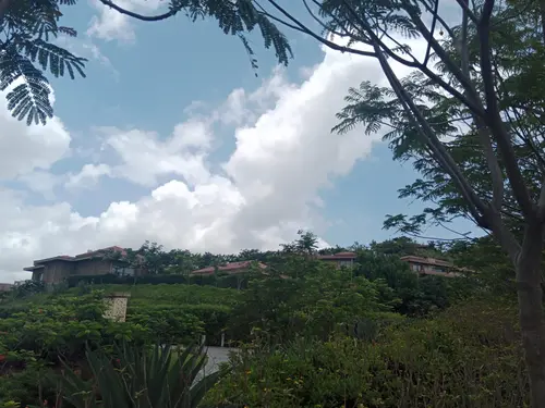 Mementos by ITC Hotels, Shiroha, Udaipur - Overview - Outdoors 10