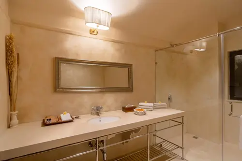 Daulatgarh Resort & Spa, Udaipur - Rooms - Washroom 21