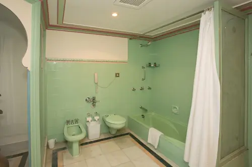 Shiv Niwas Palace, Udaipur - Rooms - Washroom 56