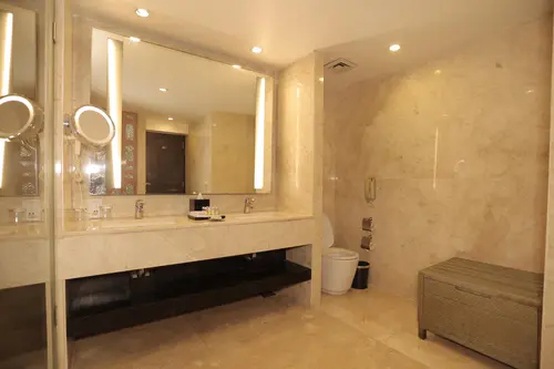 Radisson Blu Palace Resort & Spa, Udaipur - Rooms - Washroom 47