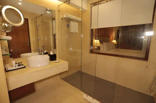 Radisson Blu Palace Resort & Spa, Udaipur - Rooms - Washroom 53