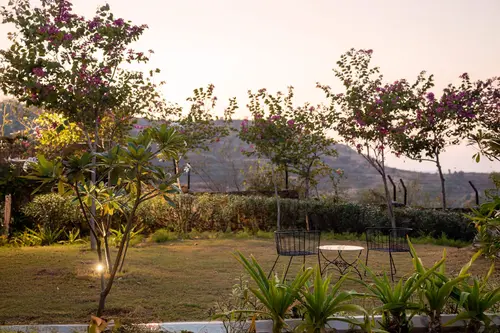 Holymont, Udaipur - Overview - Outdoors 15