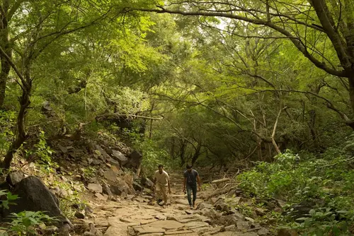 Alila Fort Bishangarh - Overview - Outdoors 25